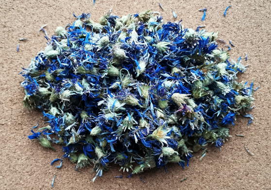 Василек синий&nbsp;(Centaurea cyanus)